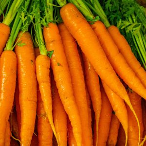 carottes bio de l'yonne 1 kg