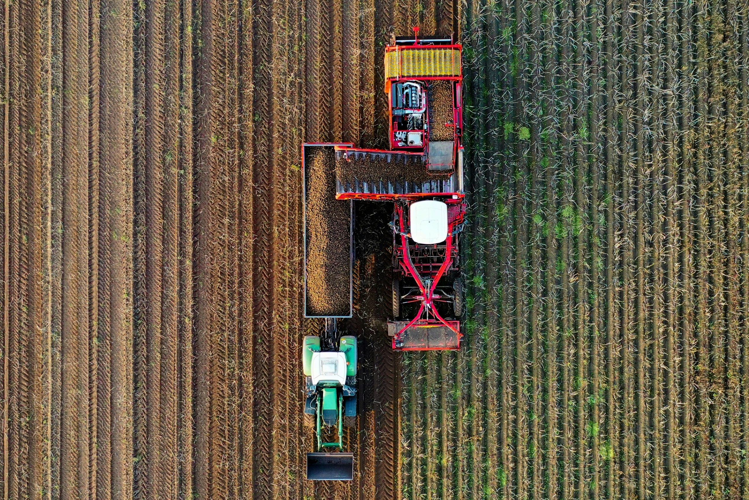 champs &tracteurs