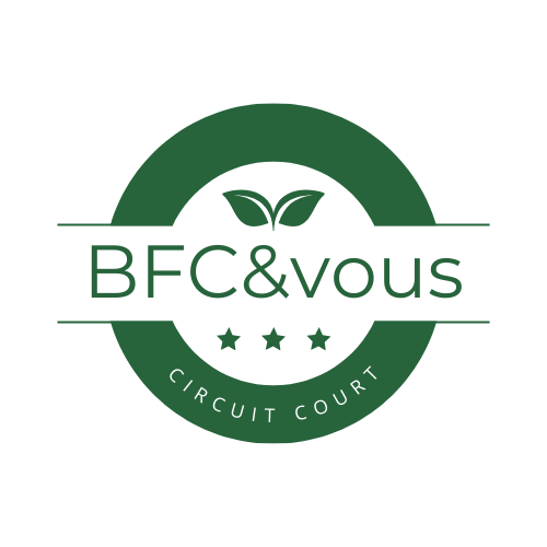 logo bfc&vous